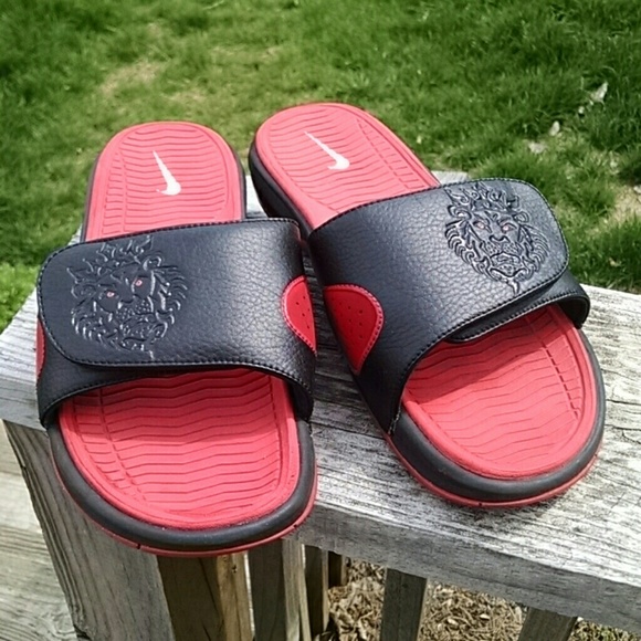 lebron air max slides